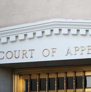 Appellate Litigation